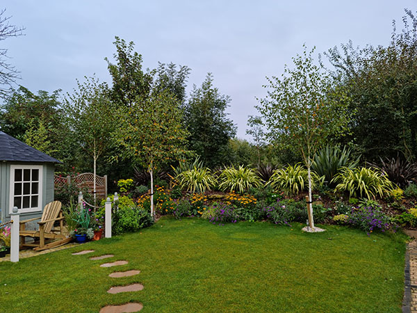 plants pic