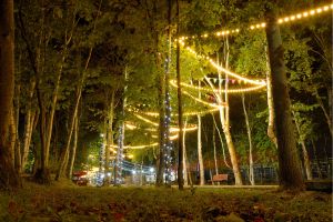 Christmas light trail