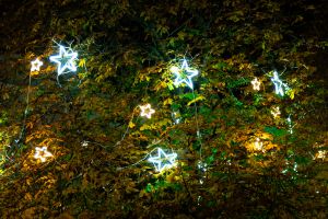 star light