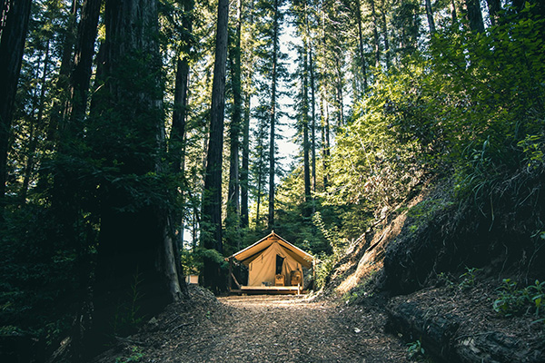 tent image 